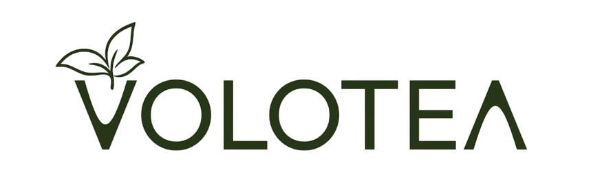 Volotea logo